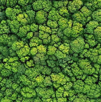 Corporate Responsibility